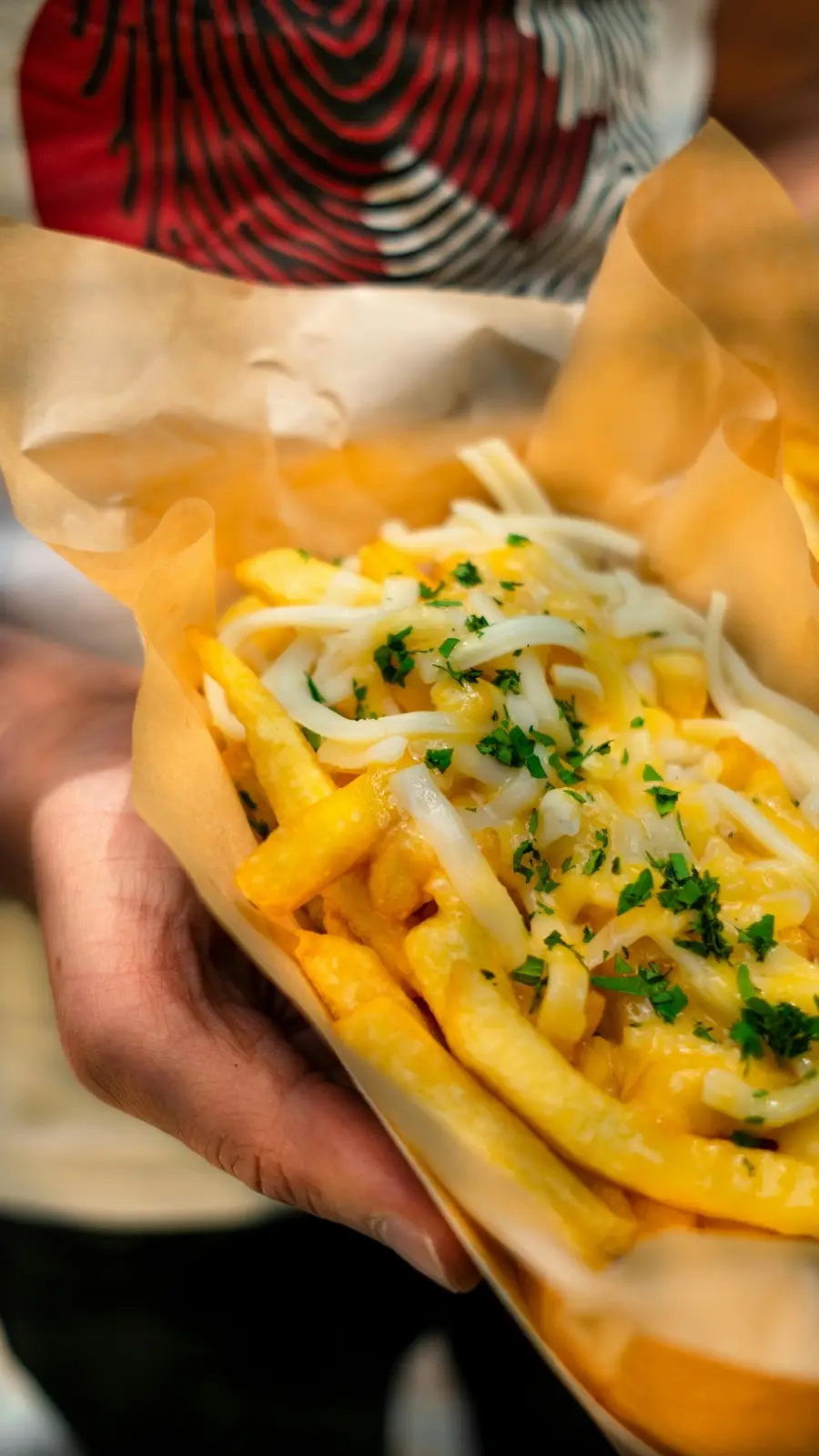 Loaded Fries